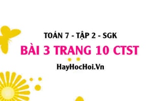 Bài 3 trang 10 Toán 7 Tập 2 Chân trời sáng tạo